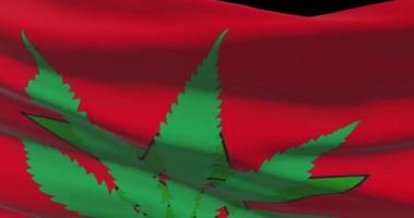 Marokko National Flagge mit Cannabis Blatt. legal Status von medizinisch Marihuana im Land. Regierung und da. Sozial Ausgabe, Politik, kriminell und Gesetz Nachrichten Über Gras video