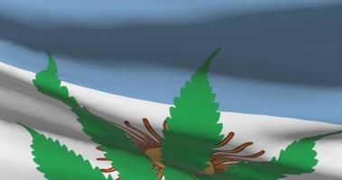 Argentina national flag with cannabis leaf. Legal status of medical marijuana in country. Government and THC. Social issue, politics, criminal and law news about weed video