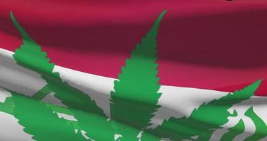 Iraq national flag with cannabis leaf. Legal status of medical marijuana in country. Government and THC. Social issue, politics, criminal and law news about weed video