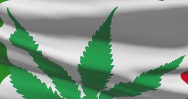 Italien National Flagge mit Cannabis Blatt. legal Status von medizinisch Marihuana im Land. Regierung und da. Sozial Ausgabe, Politik, kriminell und Gesetz Nachrichten Über Gras video