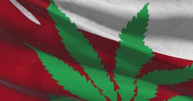 Oman national flag with cannabis leaf. Legal status of medical marijuana in country. Government and THC. Social issue, politics, criminal and law news about weed video