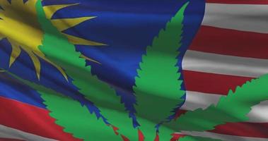 Malaysia national flag with cannabis leaf. Legal status of medical marijuana in country. Government and THC. Social issue, politics, criminal and law news about weed video