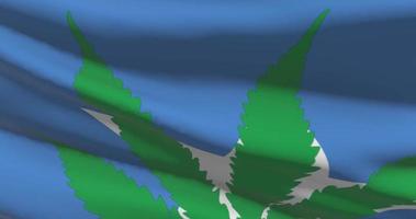 Somali national flag with cannabis leaf. Legal status of medical marijuana in country. Government and THC. Social issue, politics, criminal and law news about weed video