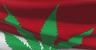 Indonesia national flag with cannabis leaf. Legal status of medical marijuana in country. Government and THC. Social issue, politics, criminal and law news about weed video