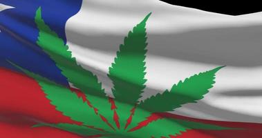 Chile national flag with cannabis leaf. Legal status of medical marijuana in country. Government and THC. Social issue, politics, criminal and law news about weed video