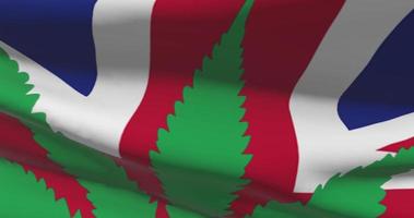 United Kingdom UK national flag with cannabis leaf. Legal status of medical marijuana in country. Government and THC. Social issue, politics, criminal and law news about weed video