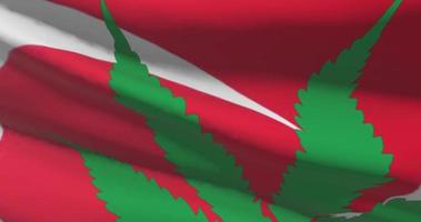 Turkey national flag with cannabis leaf. Legal status of medical marijuana in country. Government and THC. Social issue, politics, criminal and law news about weed video