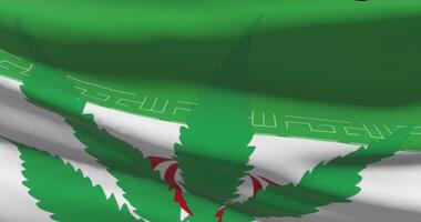 Iran national flag with cannabis leaf. Legal status of medical marijuana in country. Government and THC. Social issue, politics, criminal and law news about weed video