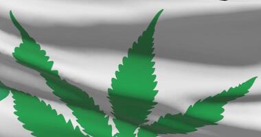 Italy national flag with cannabis leaf. Legal status of medical marijuana in country. Government and THC. Social issue, politics, criminal and law news about weed video