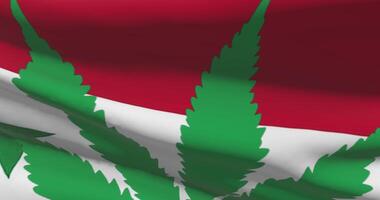 Syria national flag with cannabis leaf. Legal status of medical marijuana in country. Government and THC. Social issue, politics, criminal and law news about weed video