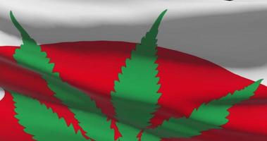 Japan national flag with cannabis leaf. Legal status of medical marijuana in country. Government and THC. Social issue, politics, criminal and law news about weed video