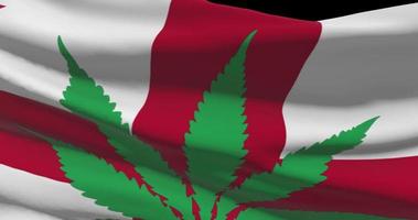 Georgia national flag with cannabis leaf. Legal status of medical marijuana in country. Government and THC. Social issue, politics, criminal and law news about weed video