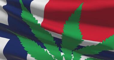 Norway national flag with cannabis leaf. Legal status of medical marijuana in country. Government and THC. Social issue, politics, criminal and law news about weed video