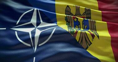 Moldova and NATO relationship. Politics and diplomacy news. Waving flag background 4K video