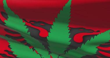 Albania national flag with cannabis leaf. Legal status of medical marijuana in country. Government and THC. Social issue, politics, criminal and law news about weed video