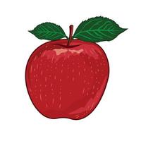 rojo manzana vector ilustración, Perfecto para Fruta tienda logo, t camisa diseño, educación libro ilustración para niños