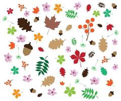 Beautiful colorful leaves and flowers pattern vector illustration for autumn theme and background.