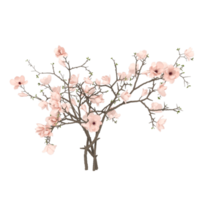 Tree flowers 3d render png