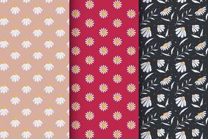 Set of seamless patterns in modern floral style vector