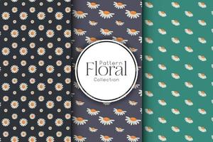 Collection of floral patterns on a dark background vector