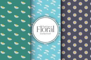 Chamomile pattern set, seamless vector pattern