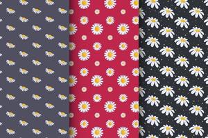 Collection of patterns with daisies, stylish set of patterns vector