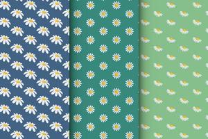 Collection of patterns with daisies, stylish set of patterns vector