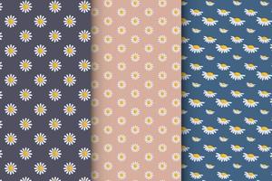 Collection of floral patterns vector