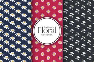 Collection of patterns with daisies, stylish set of patterns vector