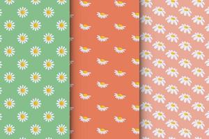 Seamless pattern with camomile illustration vector