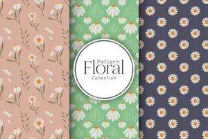 Floral pattern with daisies vector