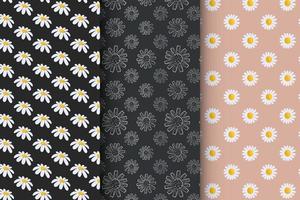 Collection of patterns with daisies, stylish set of patterns vector