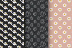 Collection of patterns with daisies, stylish set of patterns vector