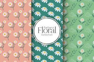 Collection of floral patterns on a light background vector