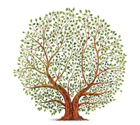 Old tree vector illustration