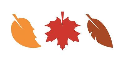 collection of autumn leaves blowing in the wind on a white background vector