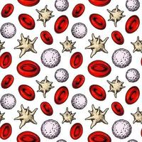 sangre células sin costura modelo. mano dibujado eritrocitos, leucocitos y plaqueta. científico biología ilustración en bosquejo estilo vector