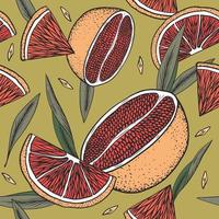 Vintage seamless pattern with grapefruits and leaves on green background vector