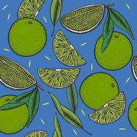 Seamless vintage pattern with lime slices on dark blue background vector