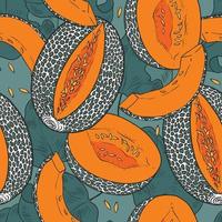 Seamless pattern with Caribbean melon vector