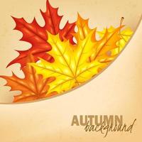 Autumn Leaf Background with Paper Sign, Vector Illustration