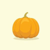 Orange Pumpkin Vector Illustration