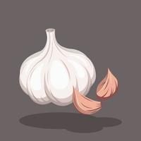 Big White Garlic with Garlic Pieces Vector Illustration