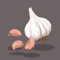 White Garlic with Root and Garlic Pieces Vector Illustration