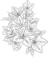 Flower coloring page for adults, Sketch bell flower drawing, bellflower vector art, Hand drawn beautiful balloon flower bouquets, illustration ink art, hand painted flowers  isolated white background.