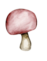 vattenfärg illustration med svamp. hand dragen element. skog söt svamp isolerat. illustration för hälsning kort, grafik, posta kort och souvenirer. png