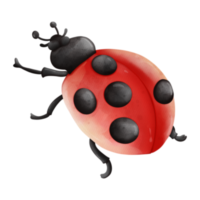 Cute cartoon lady bug 8505485 PNG