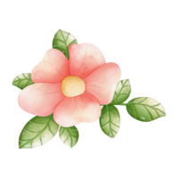 Watercolor flower, Hand-drawn illustration, Spring season png