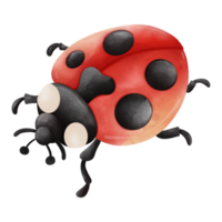 Watercolor single ladybug insect animal, Spring Season illustration Element png