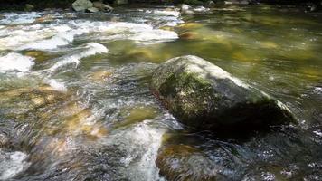 acqua flusso a il roccia nel mattina sole video